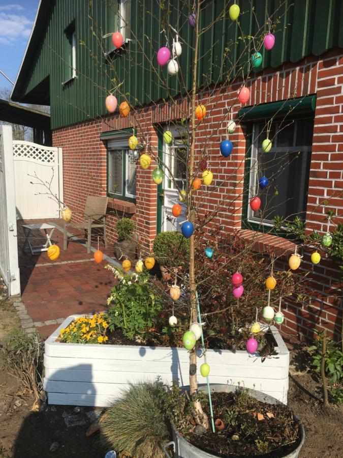 Ferienhaus Staben Eggstedt Kültér fotó