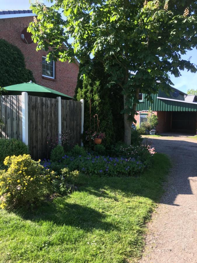 Ferienhaus Staben Eggstedt Kültér fotó